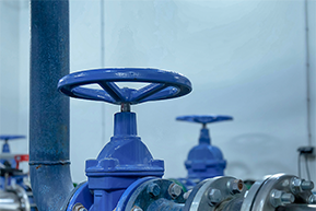 官方网站建设